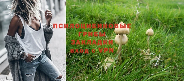 MESCALINE Алзамай