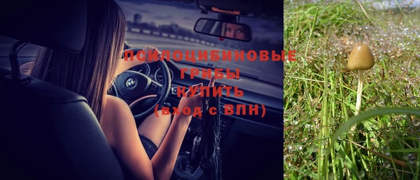 мяу мяу мука Алексеевка