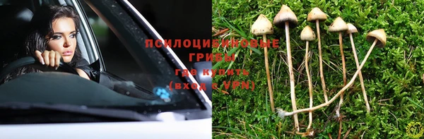MESCALINE Алзамай