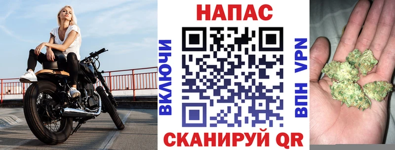 Бошки Шишки сатива  купить наркотики сайты  Краснообск 